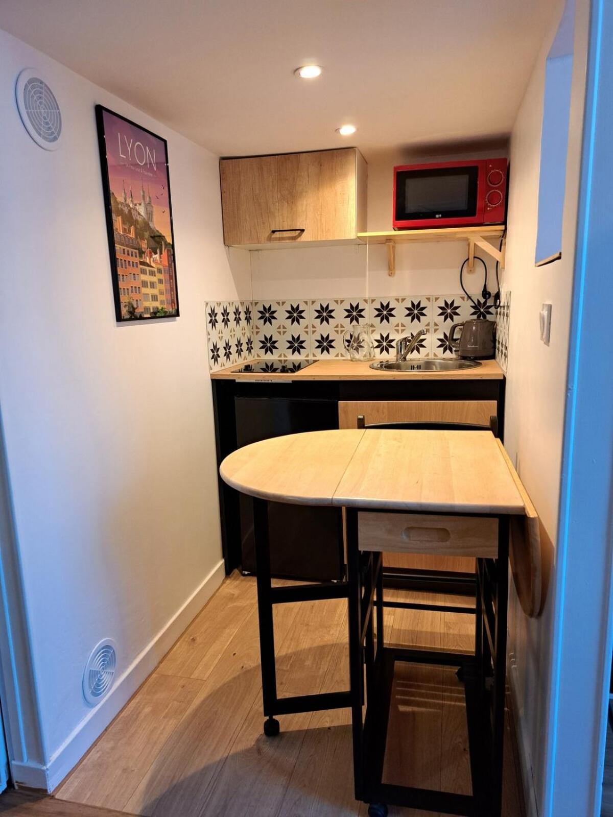 Studio Cosy Entierement Renove A Deux Pas De Lyon Fontaines-sur-Saone Dış mekan fotoğraf